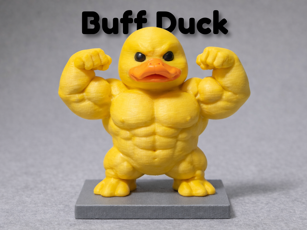 Buff Duck