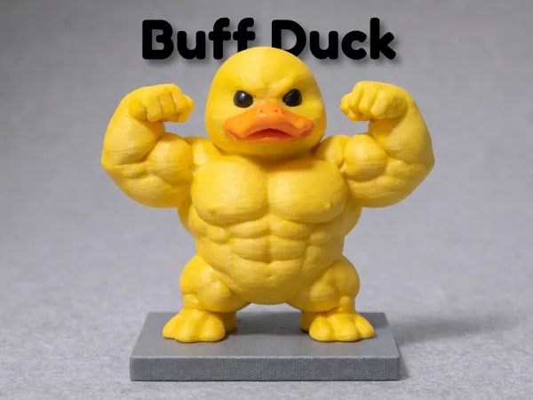 https://makerworld.bblmw.com/makerworld/model/US936225e55f3f40/design/f299f0919a7feca6.png