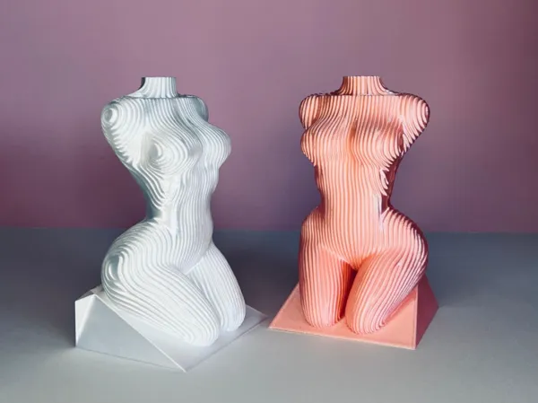 https://makerworld.bblmw.com/makerworld/model/US9362bf3ea84915/design/2025-06-28_fad8cc6689c71.jpeg