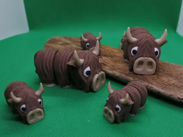 https://makerworld.bblmw.com/makerworld/model/US93661c1d849116/design/2025-04-07_cb34655df05a58.jpg