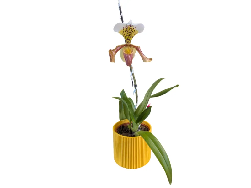 Blumentopf / Übertopf für Töpfe max 125mm