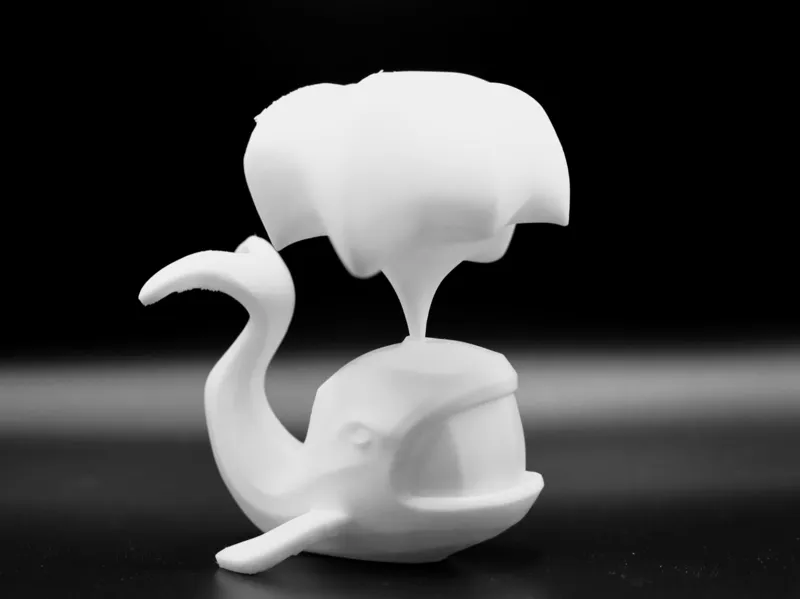 Angry Whale