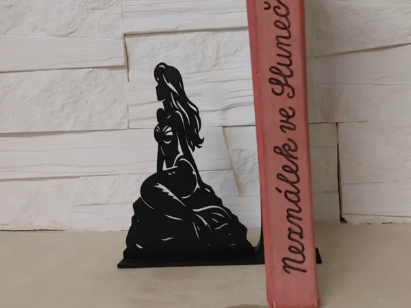 https://makerworld.bblmw.com/makerworld/model/US936ed216edb493/design/2178ef1a3c7ddc2a.jpg