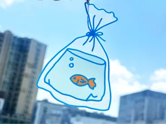 仿欧根纱书签,一袋鱼,半透明书签