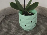 Pot pour mini orchidée — photo 2