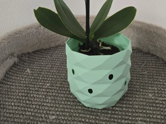 Pot pour mini orchidée