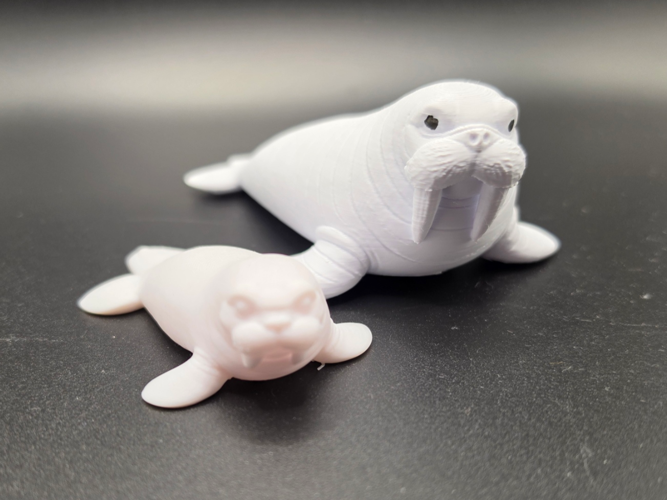 Realistic Walrus – exkl Baby -Tiere aus aller Welt
