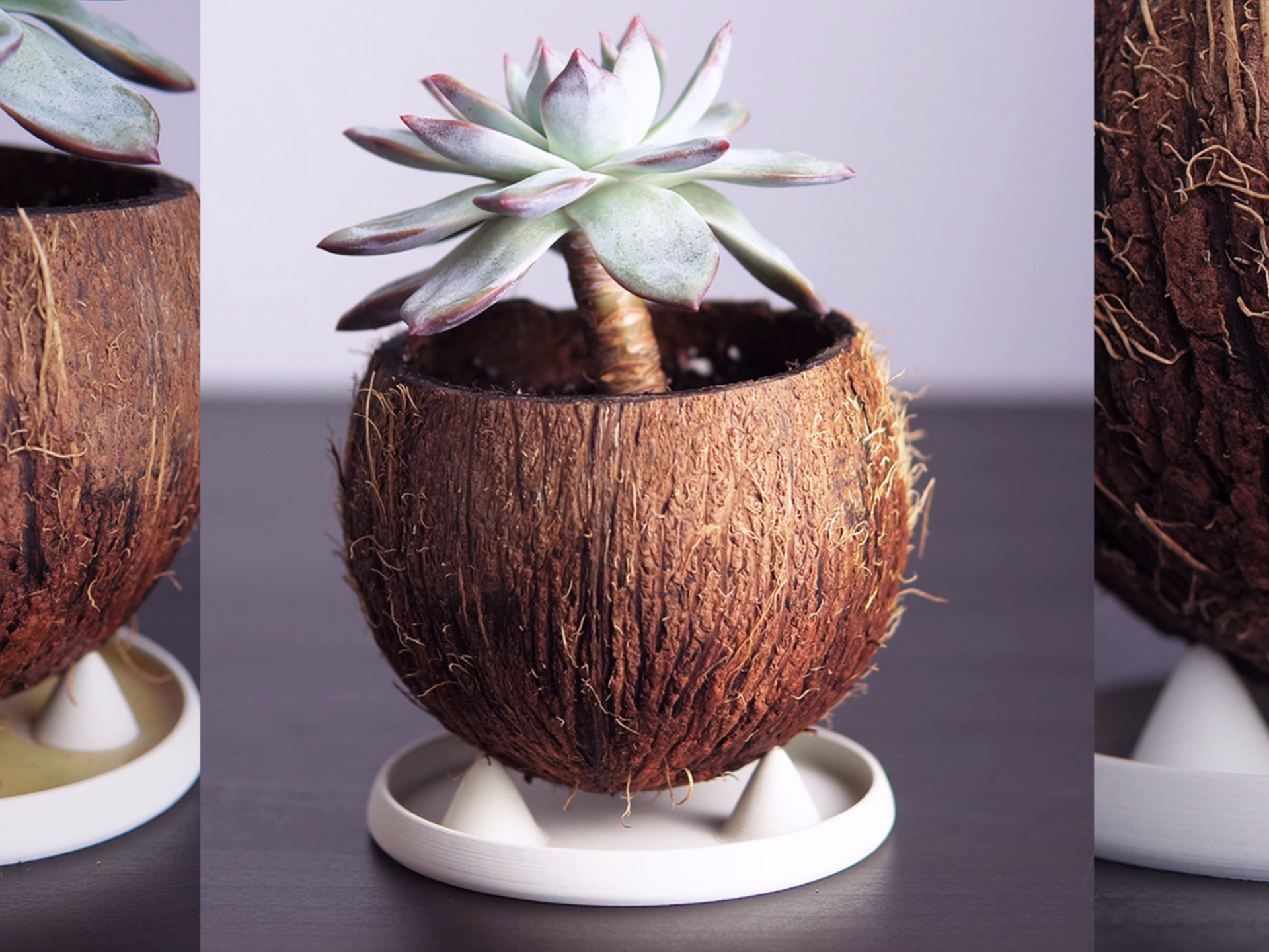 Plant Pot Saucer | Stabilizing Drip Tray | DT01