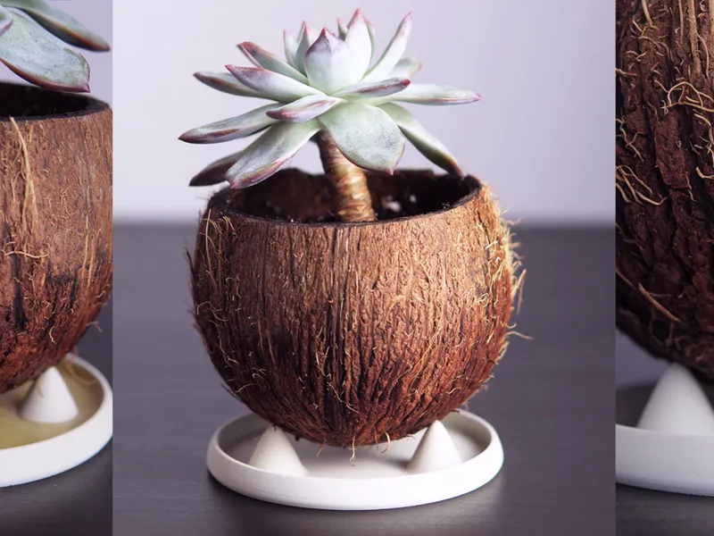 Plant Pot Saucer | Stabilizing Drip Tray | DT01