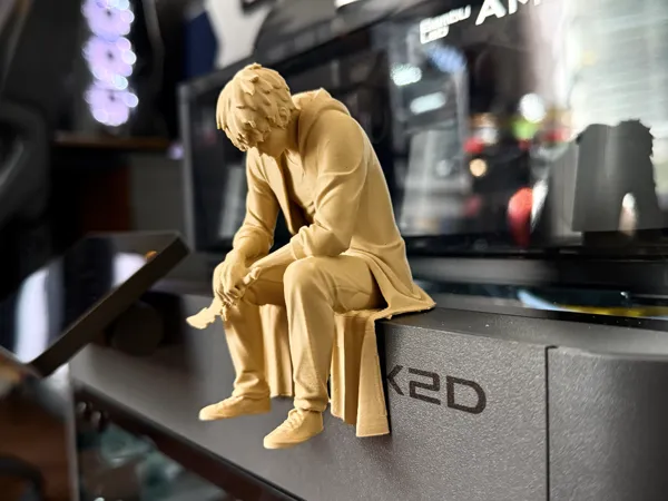 https://makerworld.bblmw.com/makerworld/model/US937b1dc7747025/design/63b8fd175ee7c6dd.jpeg