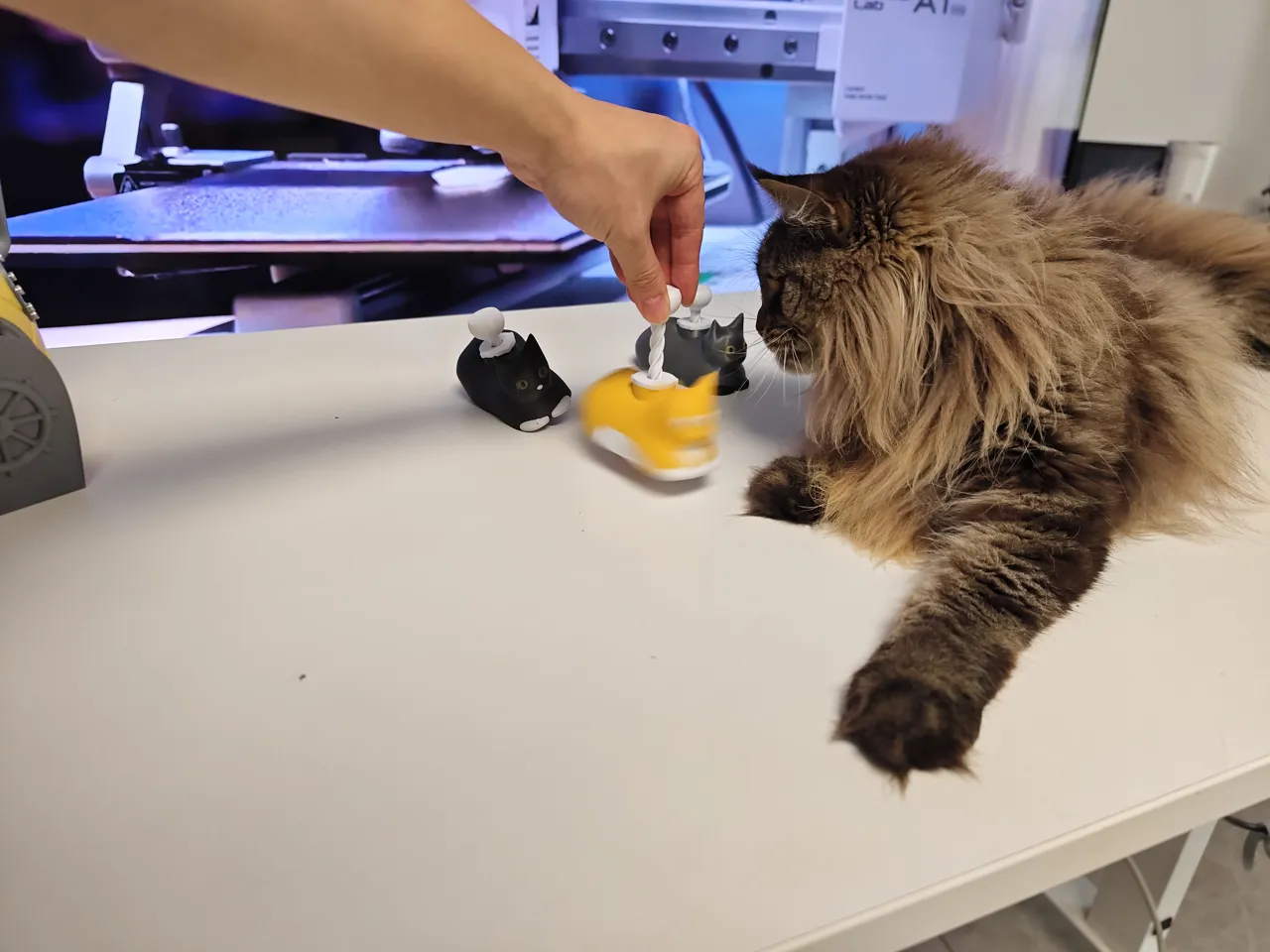 Spinning Catloaf OIIA CAT view 4