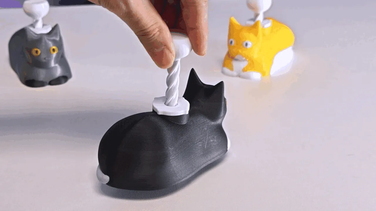Spinning Catloaf OIIA CAT view 2