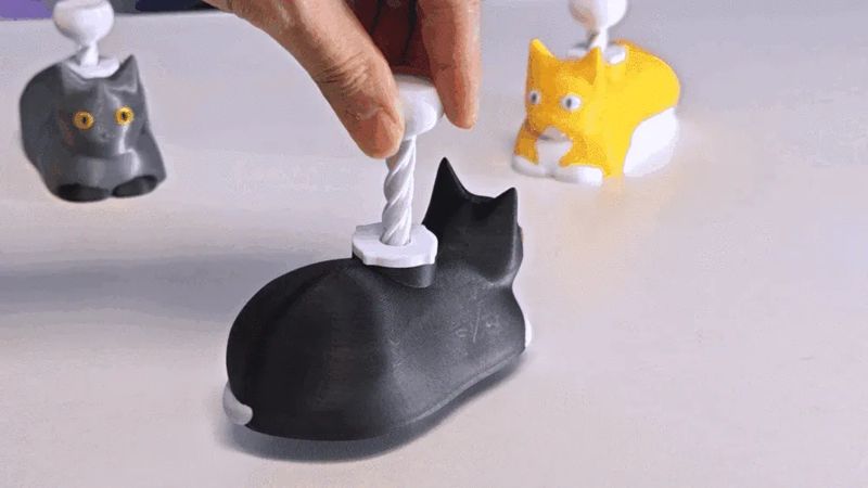 Spinning Catloaf OIIA CAT 