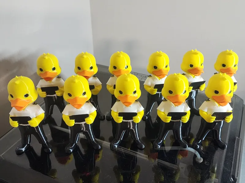 Admin Officer Duck