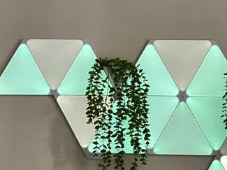 Nanoleaf Shapes Plant Pot