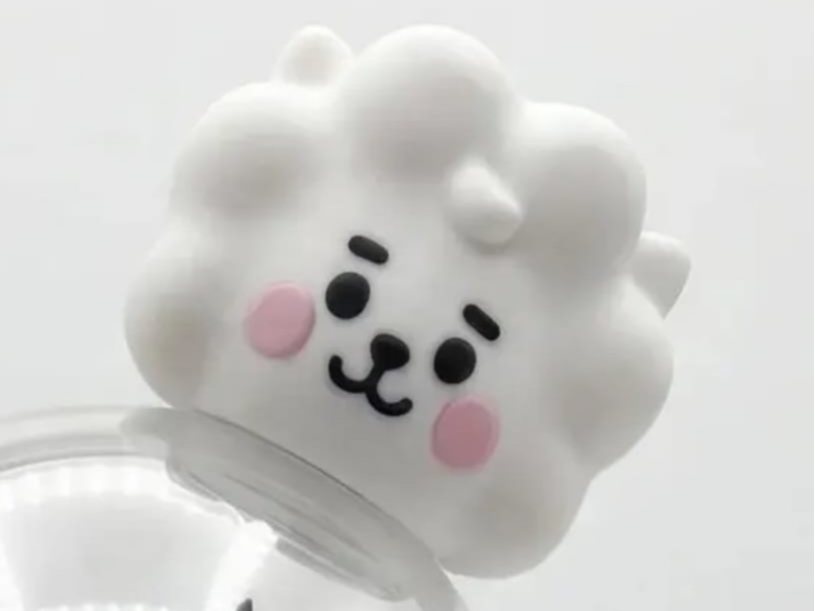 RJ  Bts light stick v4