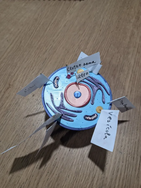 https://makerworld.bblmw.com/makerworld/model/US9386103e084c01/design/2024-01-21_f18a5b5635478.jpg