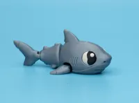 Shark Profile Multicolor