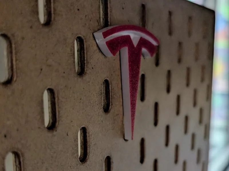 Tesla Logo Skadis