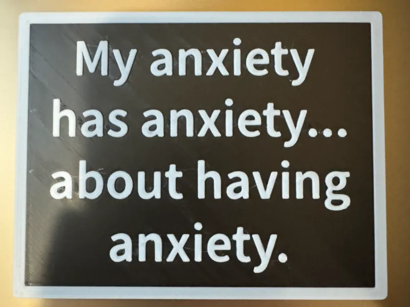 My anxiety has anxiety...
