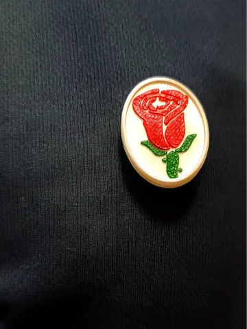 Modelo para impresión 3D: red rose brooch — vista de referencia 2