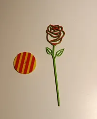 nameless flower
