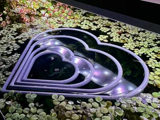 Floating heart-shaped aquarium ring