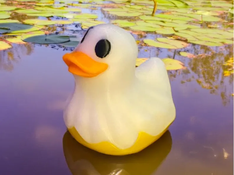 The Ghostly Duckling!