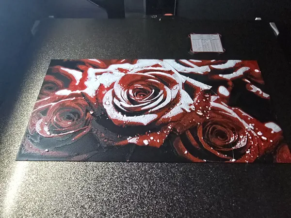 https://makerworld.bblmw.com/makerworld/model/US9394ca48fe4a4e/design/2026-01-12_83810d628657a.jpg