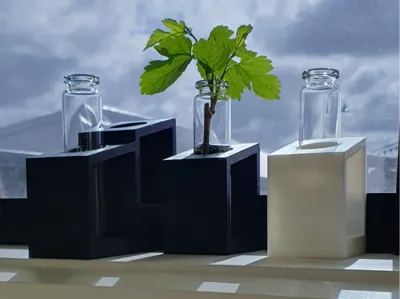Propagation stations