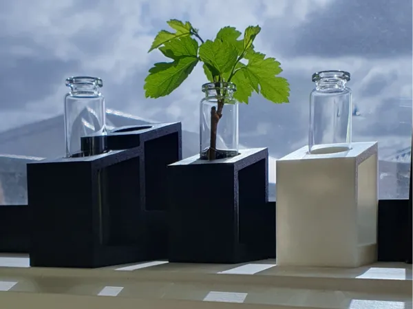 https://makerworld.bblmw.com/makerworld/model/US9395c05ea20ab5/design/2025-09-27_197931e5b2bd5.jpg