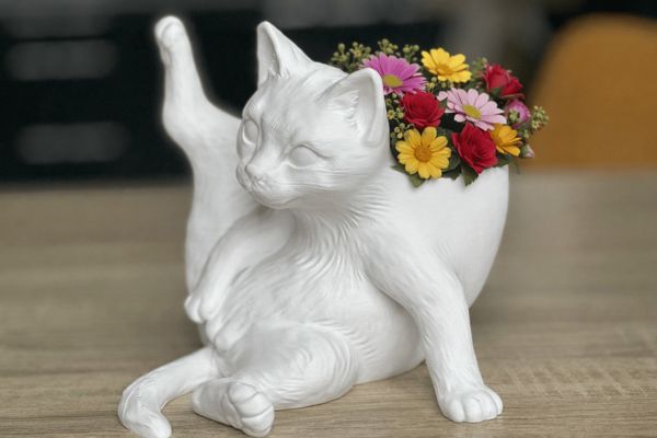 https://makerworld.bblmw.com/makerworld/model/US93985e6bd2d2e/design/0e20b8eb270d59e7.gif