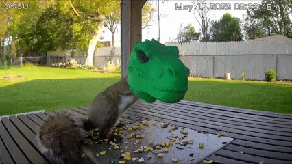 Squirrelysaurus Rex: T-Rex Head Squirrel Feeder view 2