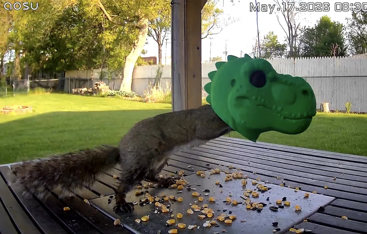 Squirrelysaurus Rex: T-Rex Head Squirrel Feeder view 4
