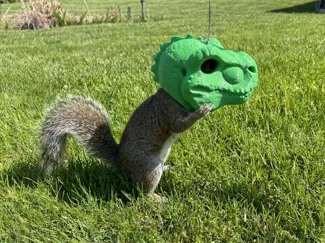 T-Rex Head Squirrel Feeder