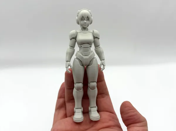 https://makerworld.bblmw.com/makerworld/model/US939b7a608e0966/design/1f9c455cd6f06e6b.jpg