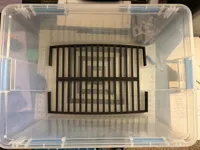 0.2mm layer, 2 walls, 15% infill