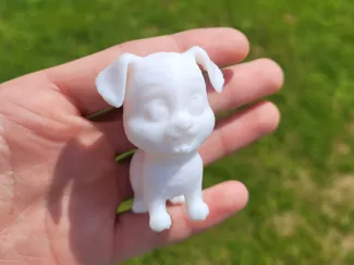 cute dog