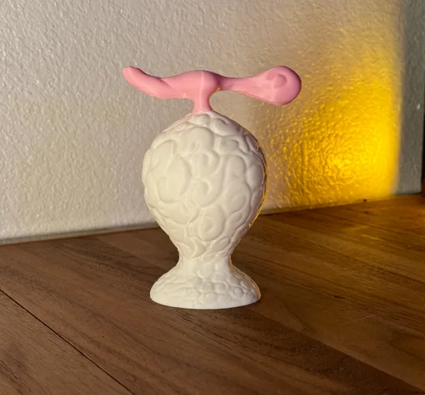 https://makerworld.bblmw.com/makerworld/model/US93abe95a871748/design/2024-11-18_1844686311754.jpg
