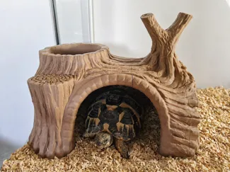 Terrarium Log Hide