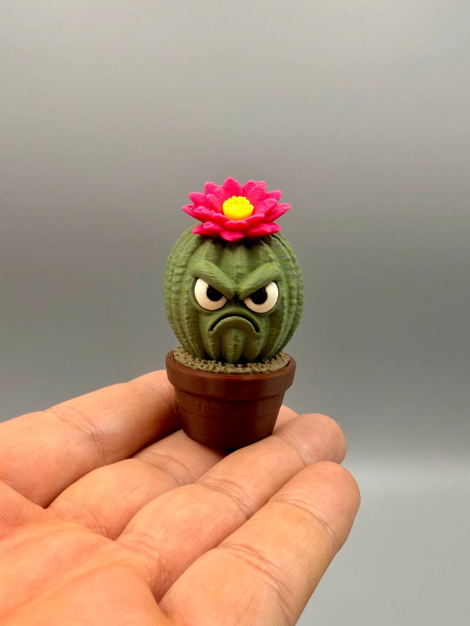 Grumpy Cactus Flower - 1
