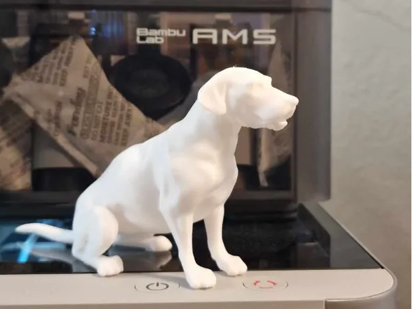 https://makerworld.bblmw.com/makerworld/model/US93b4a13cb949c1/design/2024-11-27_ebafc748182a1.jpg