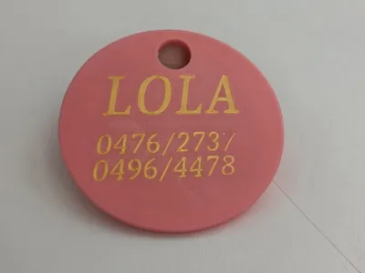 Customizable pendant for dog