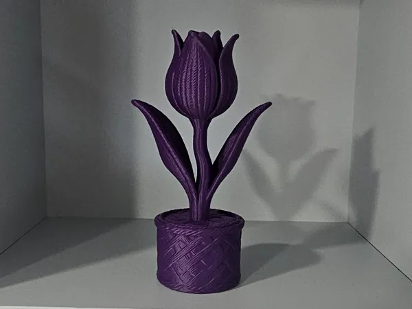https://makerworld.bblmw.com/makerworld/model/US93c063c73b6fa2/design/2025-10-20_7536fb895ebf9.jpg