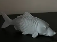 Créature hybride chien-poisson — photo 2