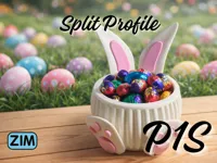 P1S - Split Profile