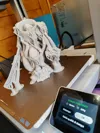 0.16mm layer, 3 walls, 5% infill