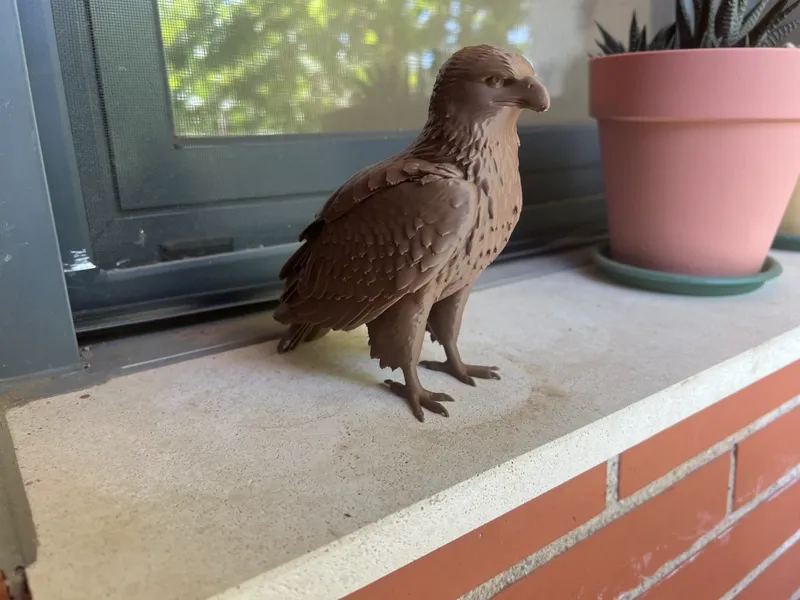 AGUILA