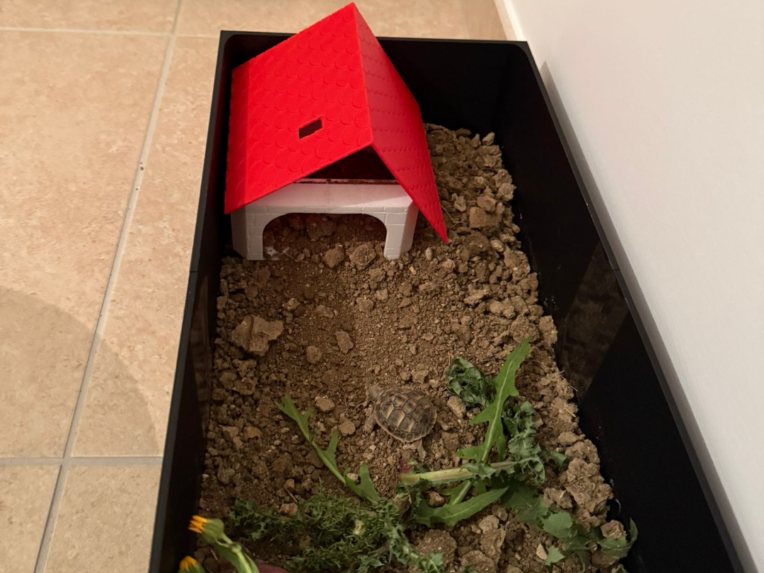 Scatola per tartarughe di terra - Terrario
