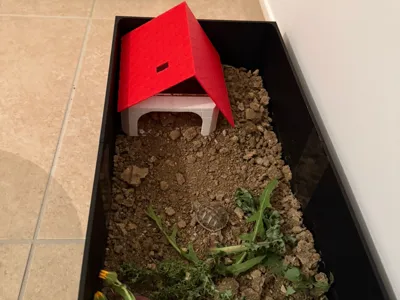 Tortoise box - Terrarium